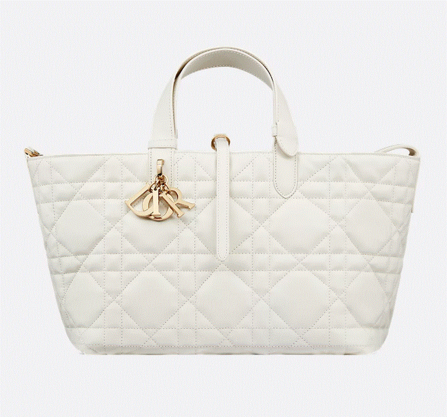 Medium Dior Toujours Bag