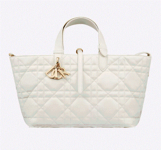 Medium Dior Toujours Bag