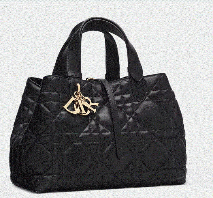 Medium Dior Toujours Bag