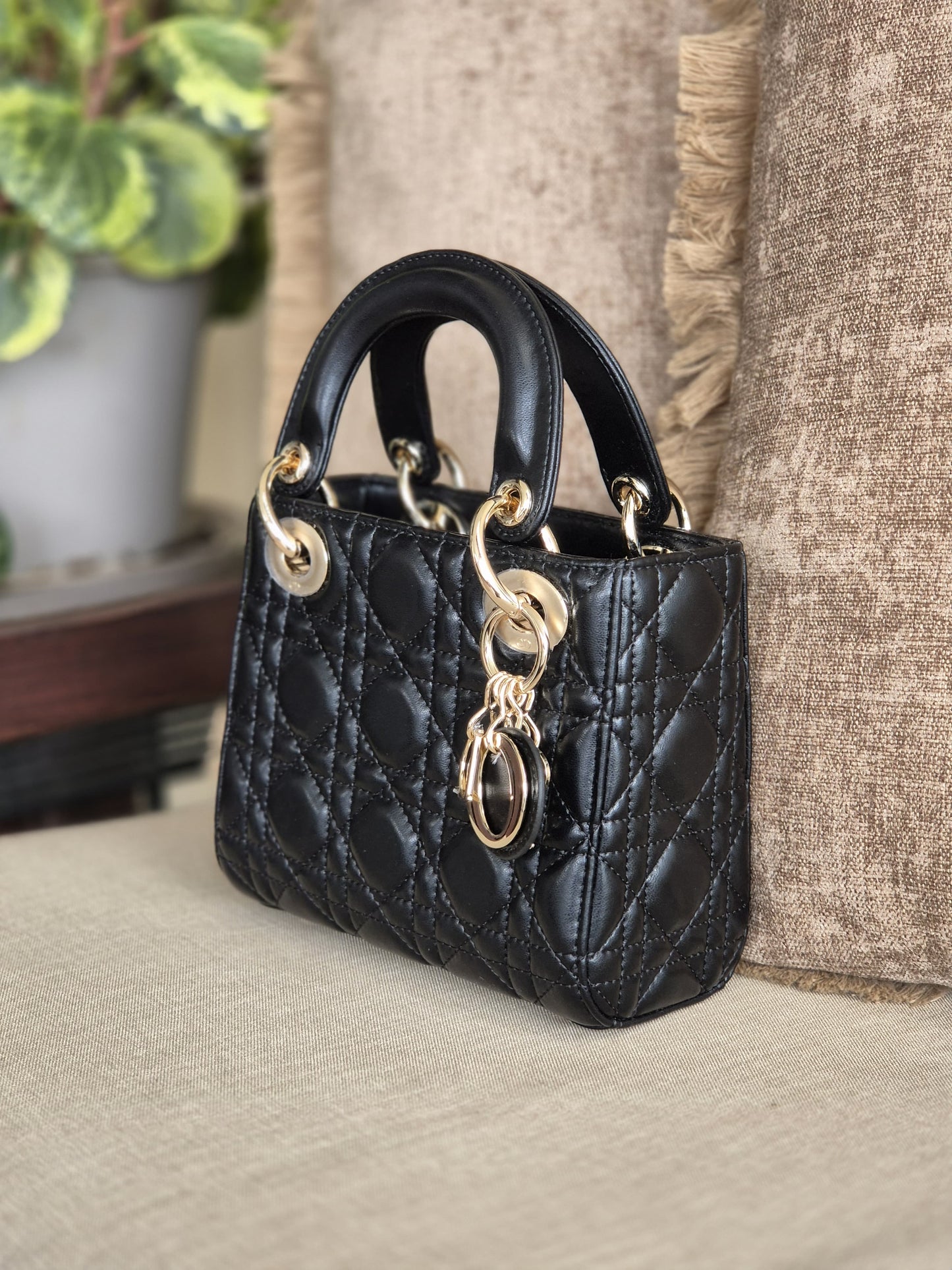 Medium Lady Dior Bag