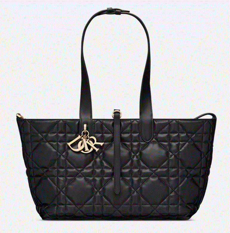 Medium Dior Toujours Bag